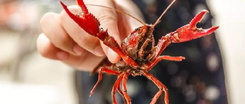 �ɶ�����ʵ��ѧУʳ�ļ������¯�����ҷ��϶��³�����2����Ԫ