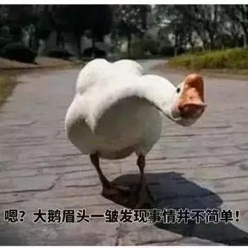 ǰ���������������ã�Ϊ���й���ʦ�ż����ǲ��̣�