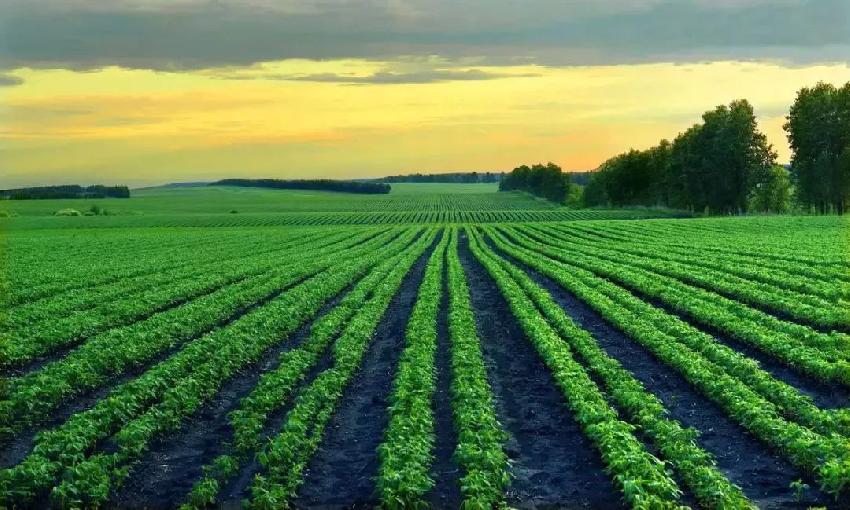 �����˷�����ô��������ô׬Ǯ��.