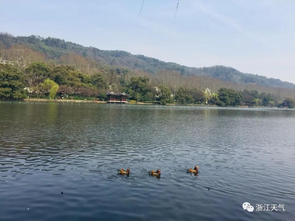 �������̽��ϰ����㽭��������³��30�棿