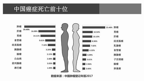 Ժʿ���飺������ɸ�������������