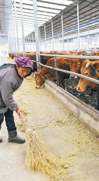 ����ɽ֮ʯ ������֮��