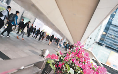 ����ۣ�����¥��� ���д���ζ��